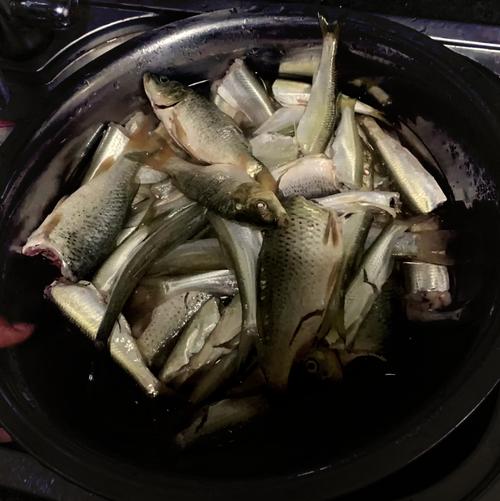 長壽湖_長壽湖釣魚規則_釣魚百科_長壽湖釣魚文化村_長壽湖釣魚新收費標準2020