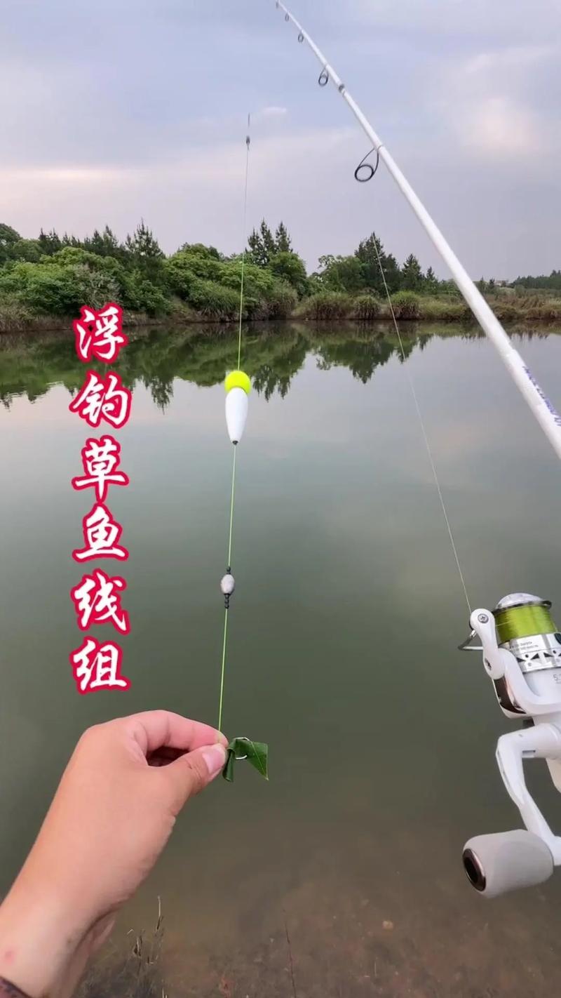 夏季浮釣草魚方法_翻板鉤釣草魚的最佳方法?_串鉤浮釣草魚技巧