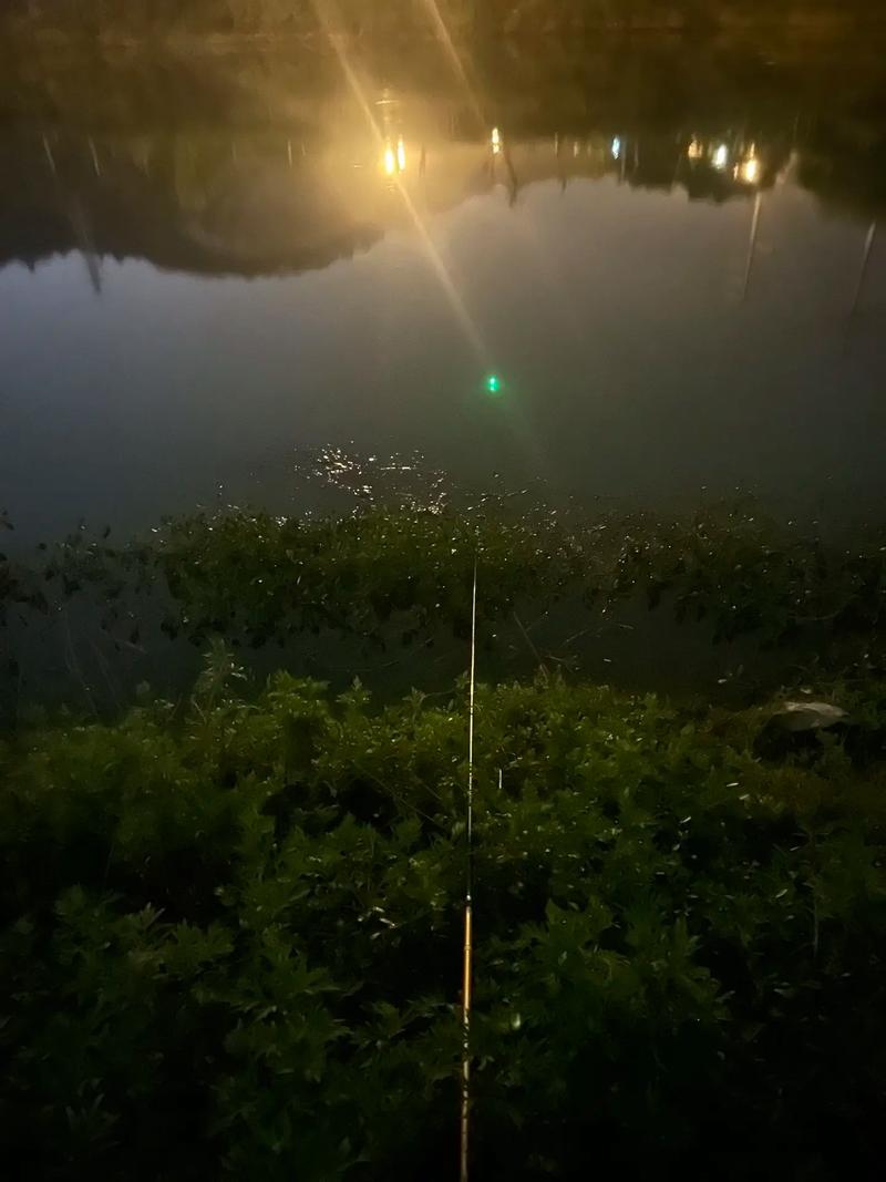 長壽湖那個農家樂可以夜釣？求指點_長壽湖夜釣場_長壽湖夜釣魚農家樂