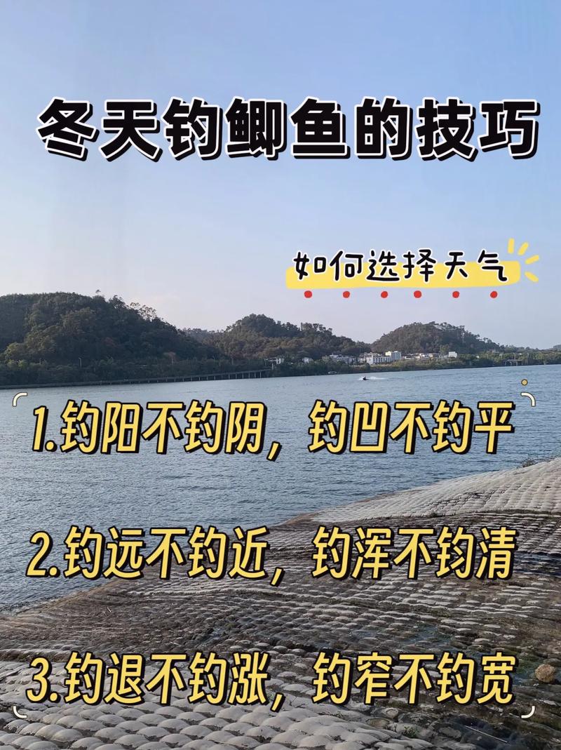 冬季湖庫釣魚技巧大揭秘：選時與釣點的關鍵要點