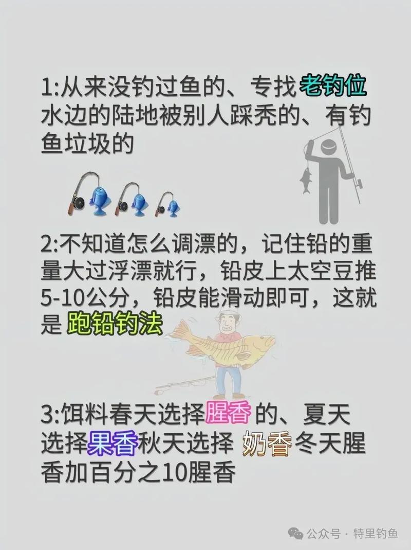 深秋野釣鯽魚攻略_精準捕獲大鯽魚技巧_深秋陰天釣魚技巧