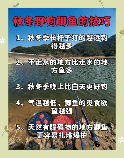 深秋野釣鯽魚攻略_精準捕獲大鯽魚技巧_深秋陰天釣魚技巧