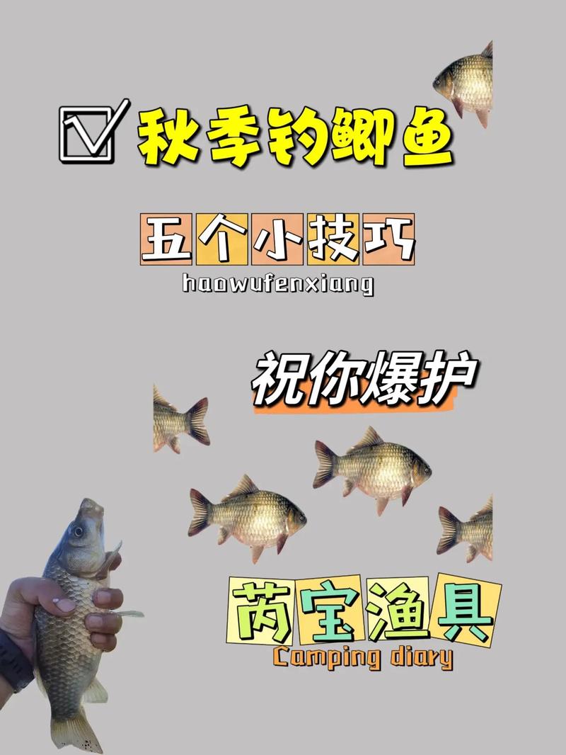 深秋陰天釣魚技巧_精準捕獲大鯽魚技巧_深秋野釣鯽魚攻略