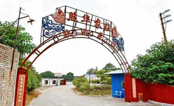 華銀生態農莊_華銀生態園消費如何_華銀農家樂