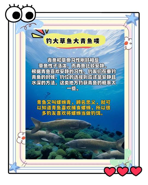 草魚餌料怎么配制_草魚餌料配方大全_韭菜玉米面餌料制作