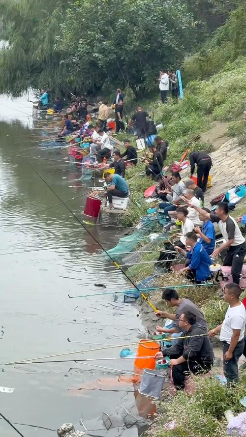 眾人爭搶釣魚地點場面壯觀，背后原因及問題剖析