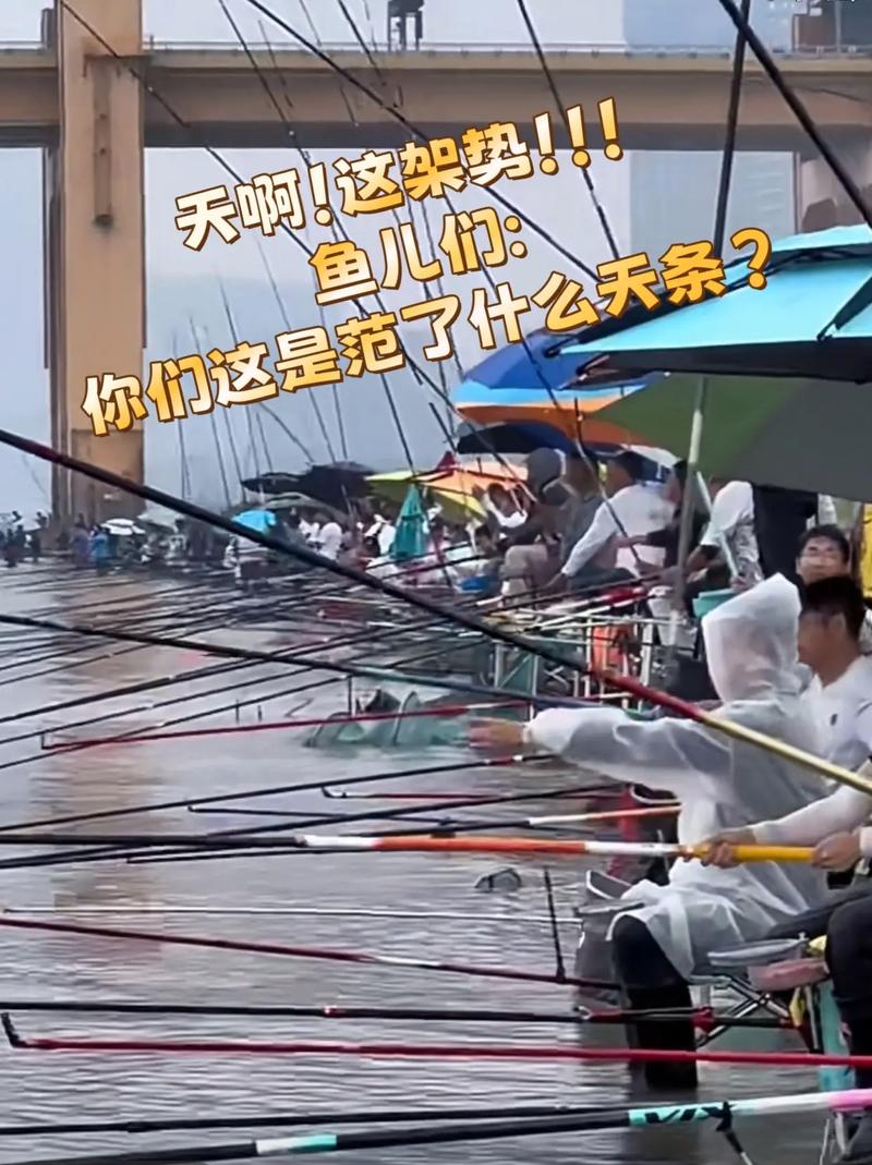 上百人搶釣魚位_百人排隊搶釣位_釣魚搶釣位