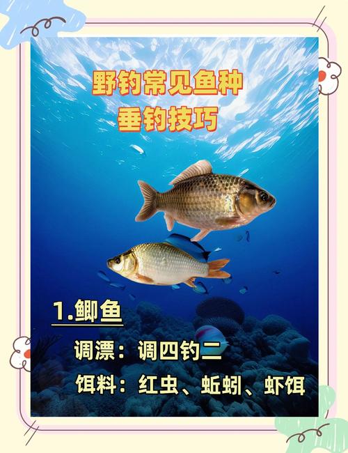 四海釣魚視頻大全：多樣魚種展示，助你掌握釣魚技巧