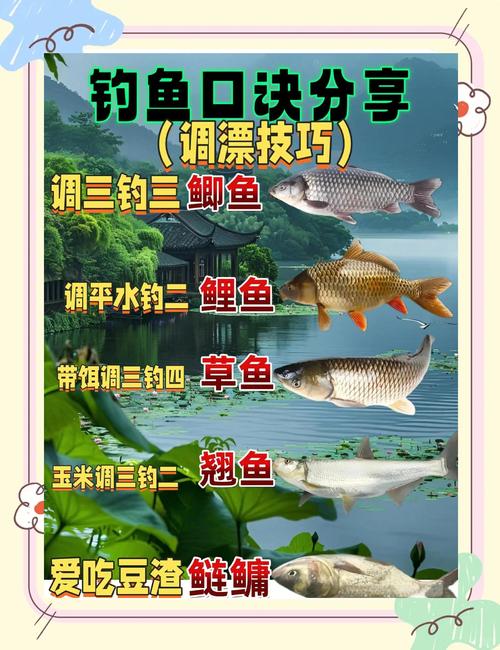 釣魚視頻四海大全播放_四海釣魚視頻大全_釣魚頻道四海釣魚視頻