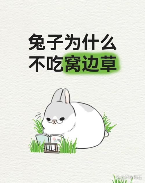 朋友趁我窩子繼續上大草_朋友趁我窩子繼續上大草_朋友趁我窩子繼續上大草