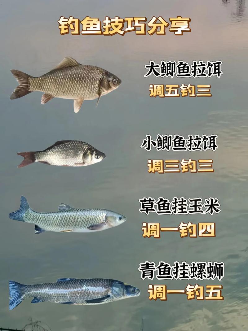 化紹新釣魚_2019年化紹新釣魚視頻_化紹新2024釣魚視頻