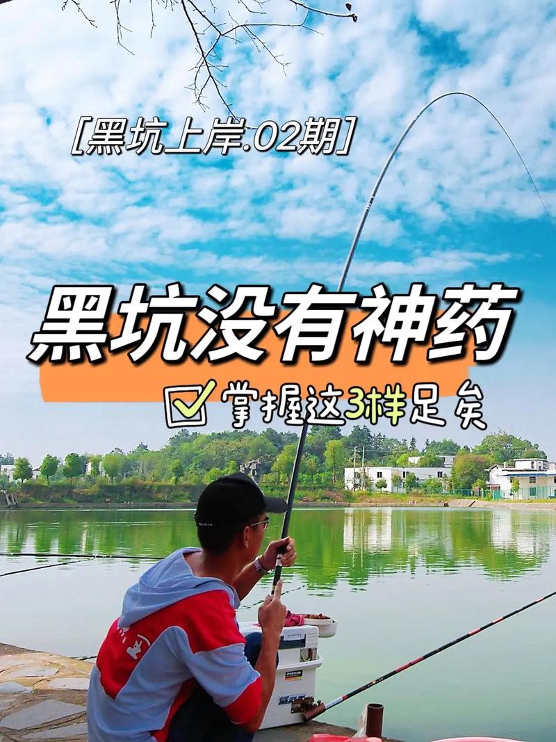 釣魚小藥果酸甜_釣魚小藥分類及搭配_黑坑釣魚小藥使用技巧