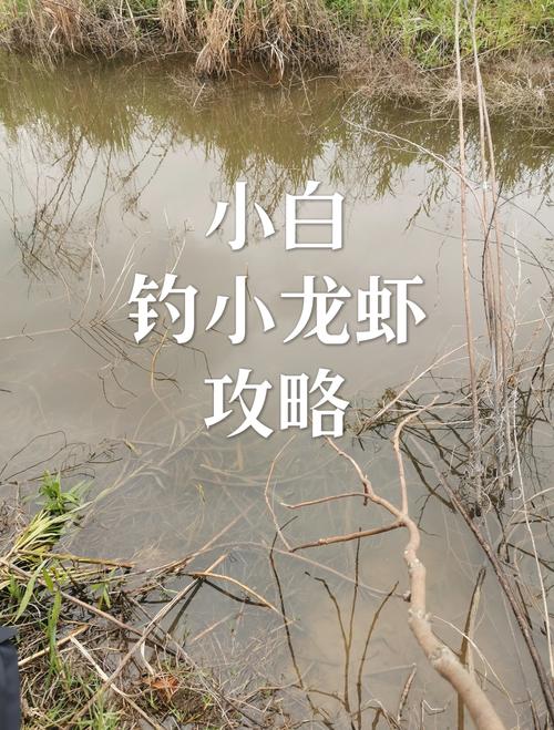 釣魚論壇上海網官網_上海釣魚網-上海釣魚論壇_上海釣魚網論壇