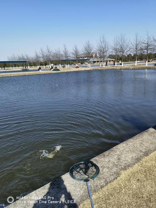 找釣友太倉那里可以釣魚地方