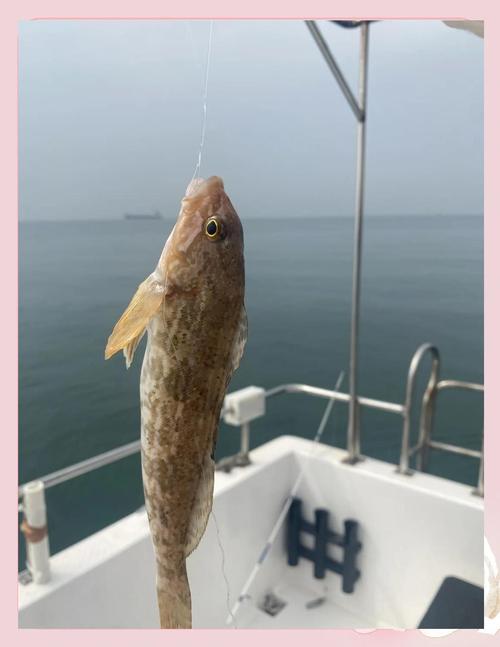 周東明遠海垂釣經歷_青島遠海垂釣愛好者_青島海釣論壇