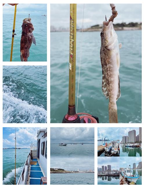 周東明遠海垂釣經歷_青島海釣論壇_青島遠海垂釣愛好者