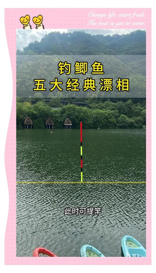 漁漂的種類_漂種類圖解_漂相_漂相的種類