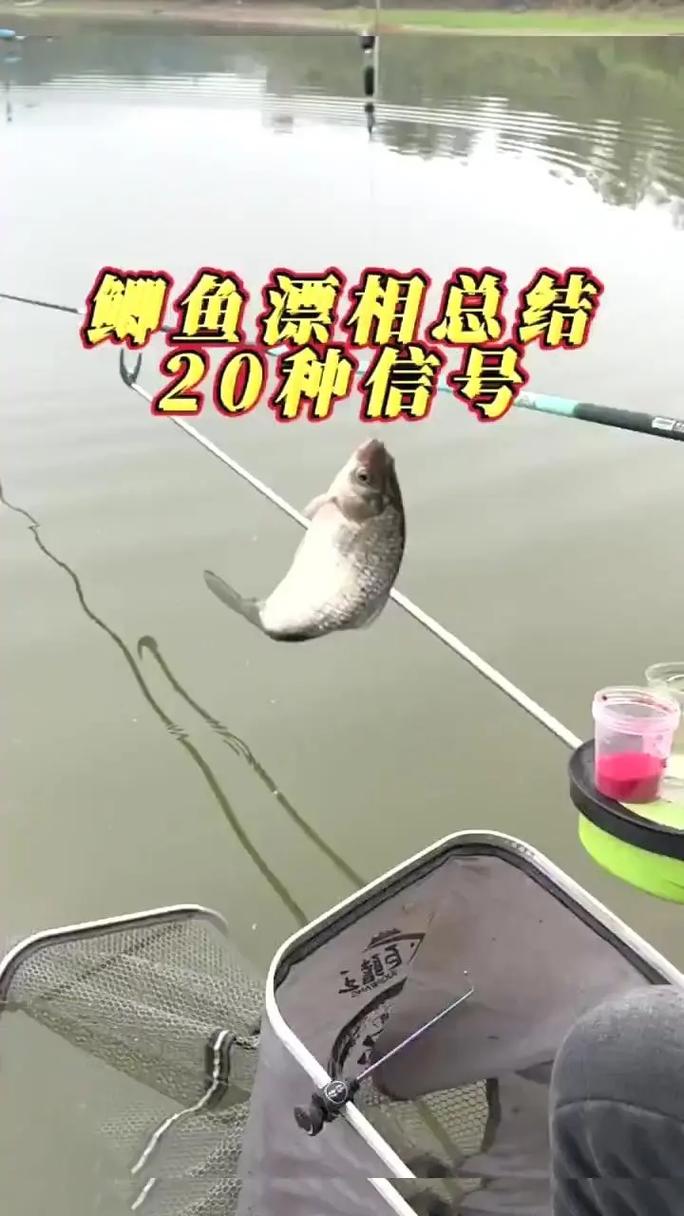 漂相_漂相的種類_漁漂的種類_漂種類圖解