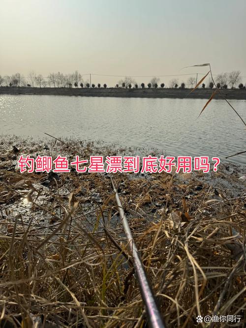 七星漂釣草洞技巧_七星漂釣鯽魚優勢_冬季用七星漂釣魚技巧