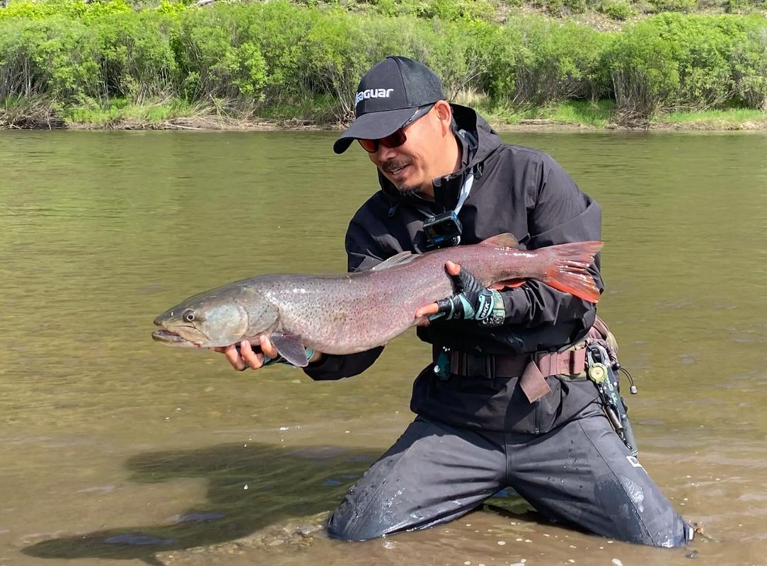 哲羅魚_哲羅魚垂釣方法_釣魚百科_釣魚技巧大全使用方法_魚釣教程