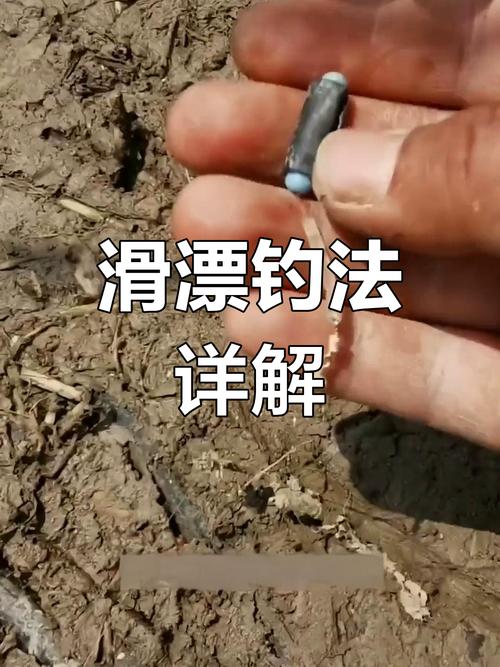 磯竿滑漂釣鯽魚以及線擋的選擇？釣魚之家