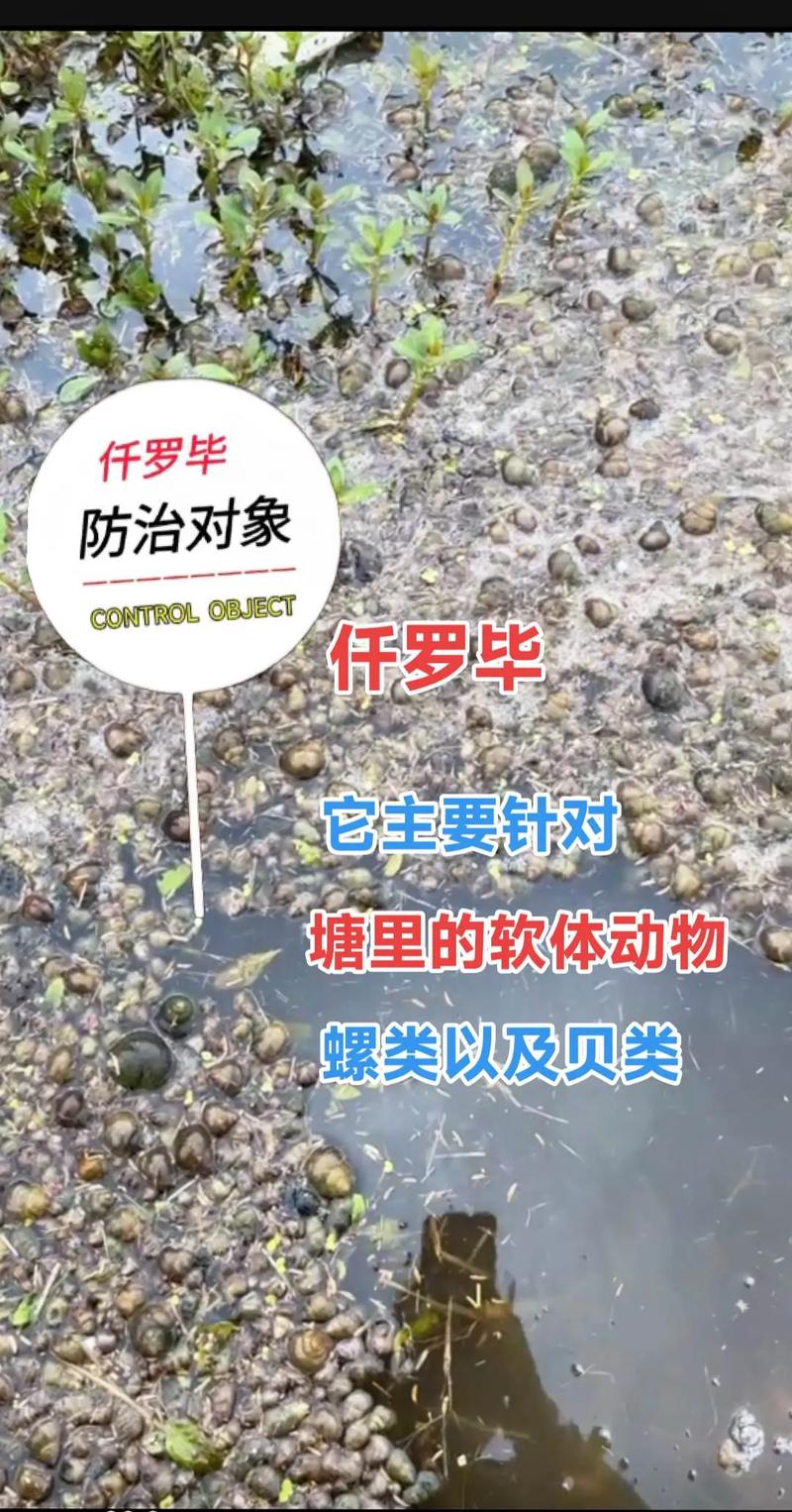 這個東西泛濫了_泛濫的動物有哪幾種_泛濫成災的動物有哪些