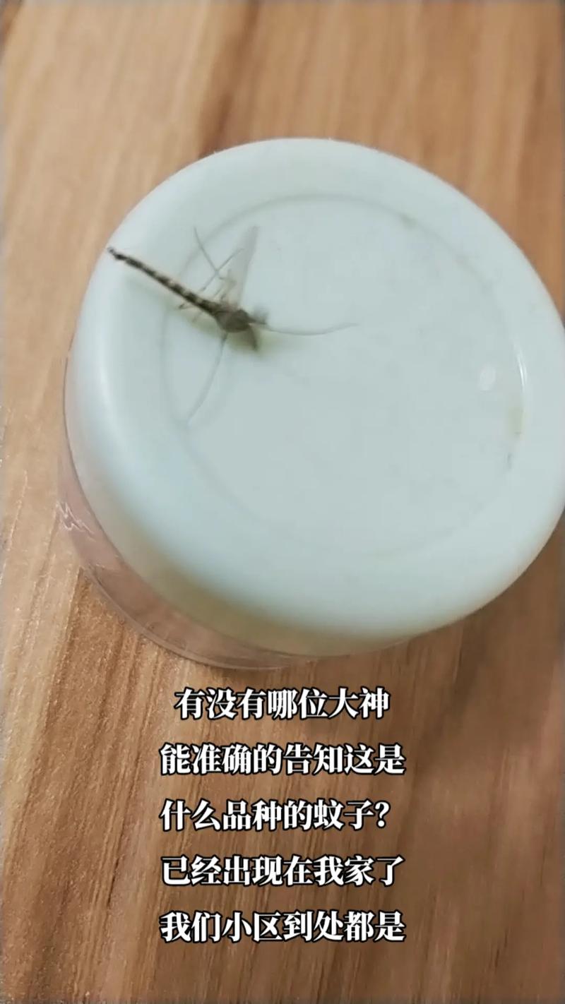泛濫成災的動物有哪些_泛濫的動物有哪幾種_這個東西泛濫了