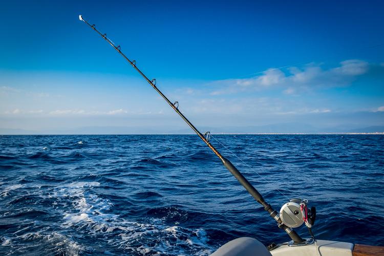 釣魚發燒友秒p視頻_游戲釣魚甩竿技巧_釣魚發燒友甩竿技巧