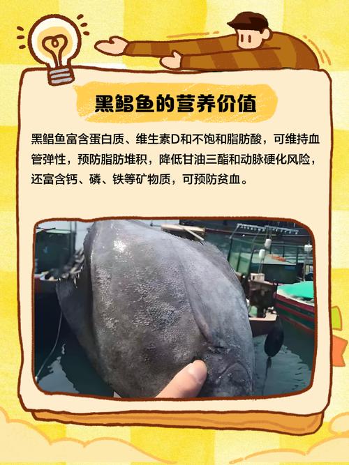 如何釣鴨嘴魚_釣魚鴨嘴魚_鴨嘴魚怎么釣