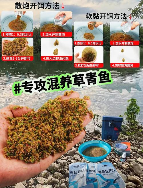 掌握草魚飲食喜好及餌料搭配技巧，輕松釣魚不是夢
