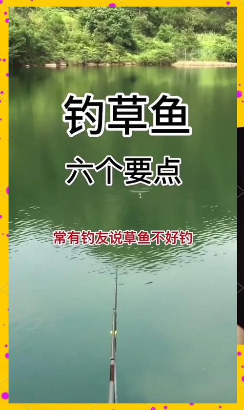 草魚打窩技巧配方_草魚秋季釣位選擇_草魚餌料搭配的注意事項