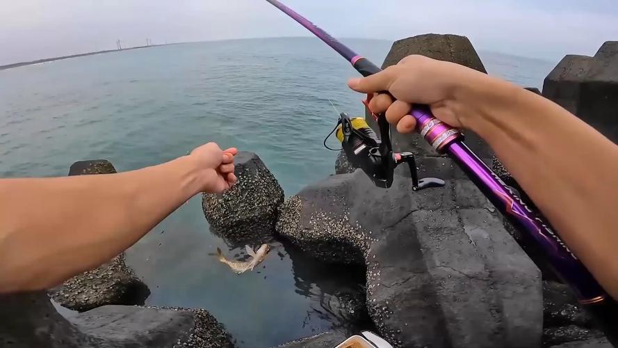 磯釣水下視頻_普及一下什么是磯釣_磯釣水下線組