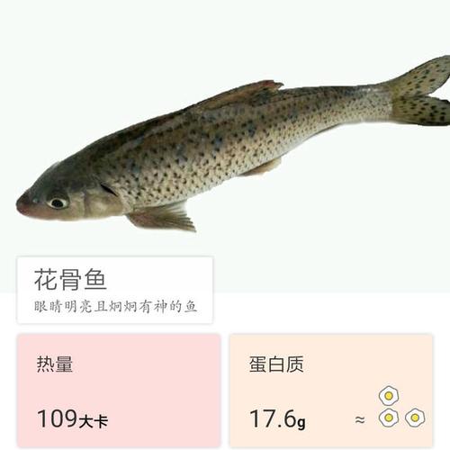 這么大的野生激浪魚你釣到過嗎？_釣魚浪大怎么調漂_野釣浪大怎么釣