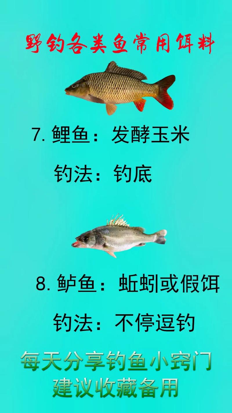 碳素竿釣魚技巧_河邊釣魚用什么魚竿_河里釣魚魚桿選擇
