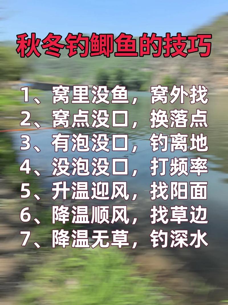 初秋鯽魚釣魚技巧_深秋初冬釣鯽魚技巧_秋季鯽魚釣位選擇