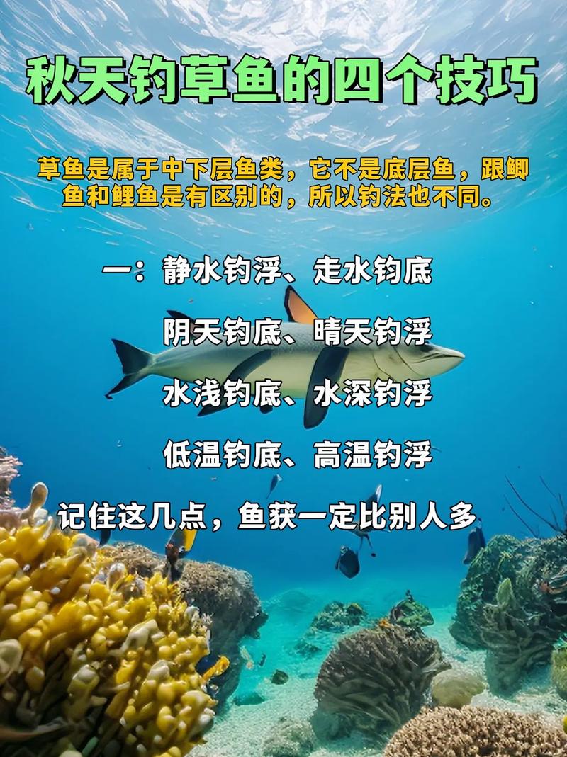深秋釣草魚技巧_深秋草魚餌料選擇_深秋草魚釣魚技巧