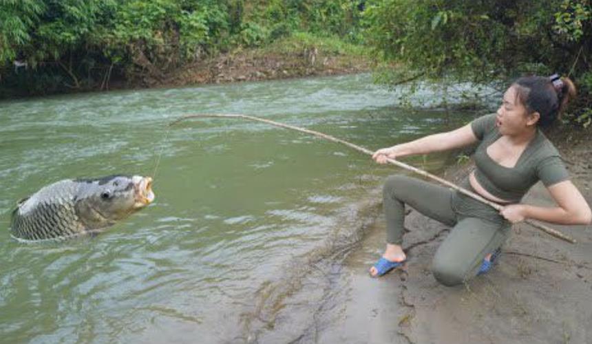 2013年高清釣魚影像：精彩瞬間、技巧傳授與豐富魚類資源大揭秘