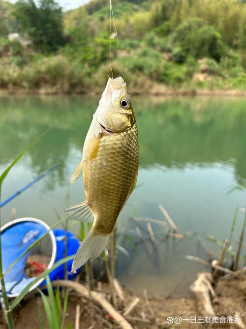 釣魚視頻高清100張_釣魚視頻高清攝像頭_釣魚視頻高清2013