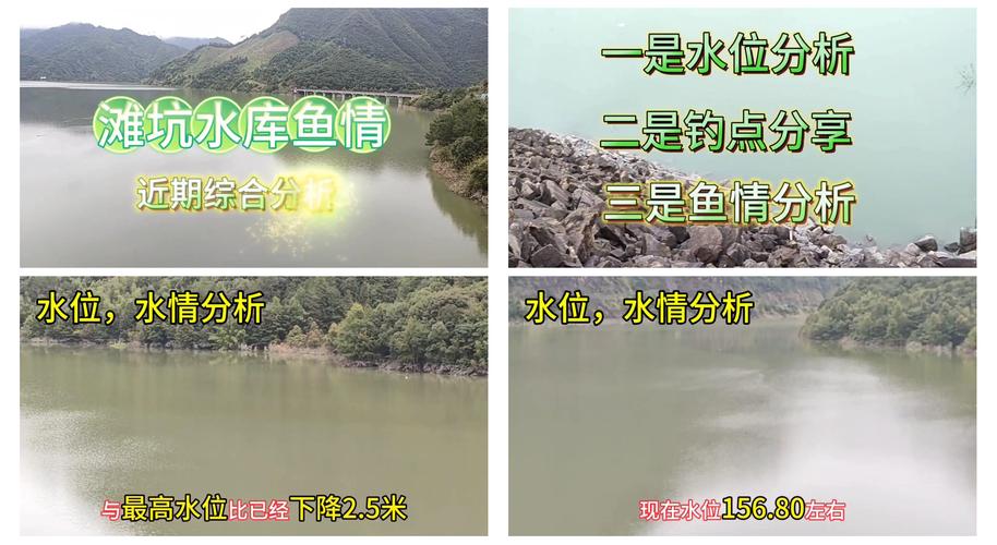 廣安釣魚吧：交流心得、分享成果，探尋周邊優質釣點的好去處
