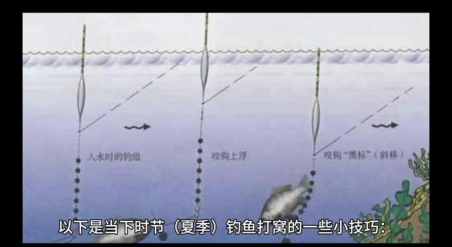 野釣打窩技巧_野釣經驗談_魚線選擇與搭配