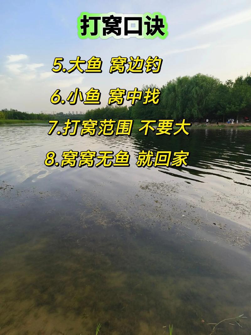 野釣經驗談_野釣打窩技巧_魚線選擇與搭配