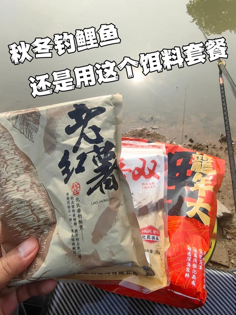 深秋釣鯉魚技巧大公開！選對釣位、配好餌料很關鍵