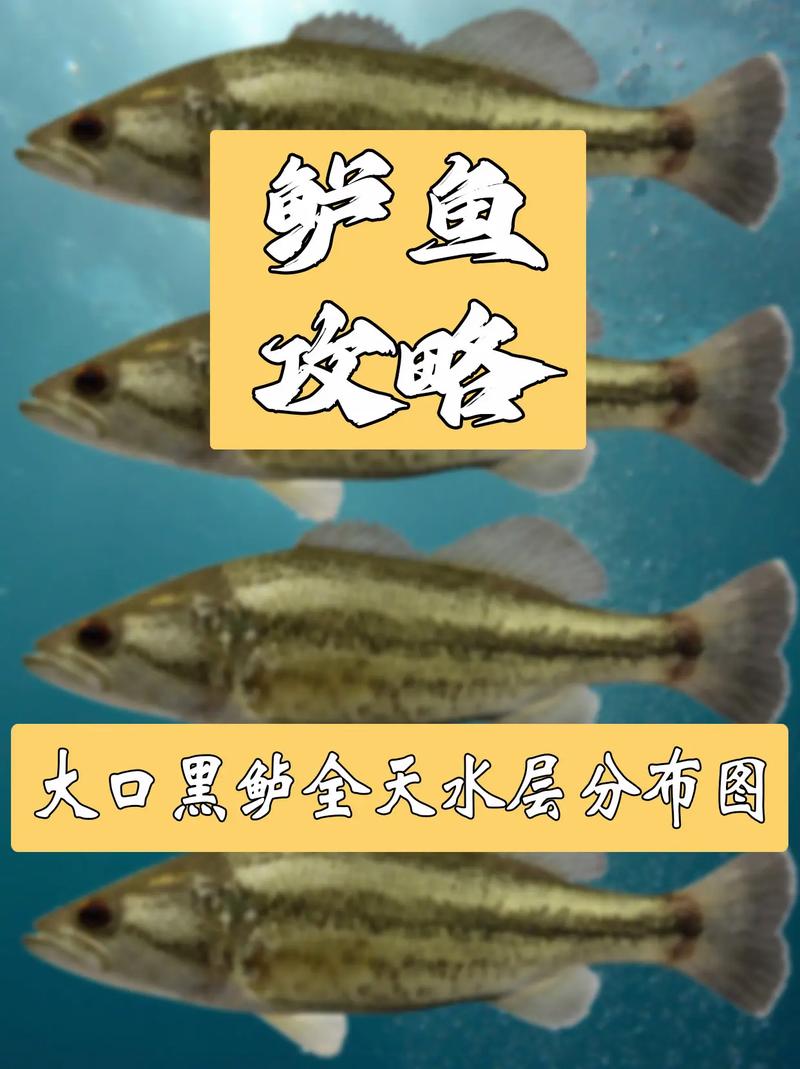 路亞海鱸的用餌與手法_路亞海釣鱸魚視頻教程_路亞海鱸視頻