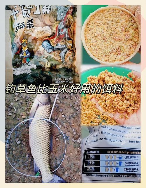 秋季釣草魚爆炸餌配方揭秘，麩皮次粉等搭配超有效