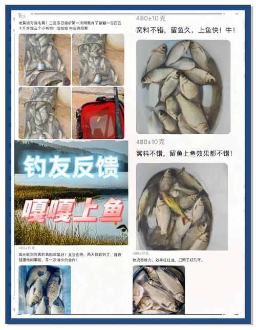 秋季垂釣必看！幾款實用餌料制作方法及配方大揭秘