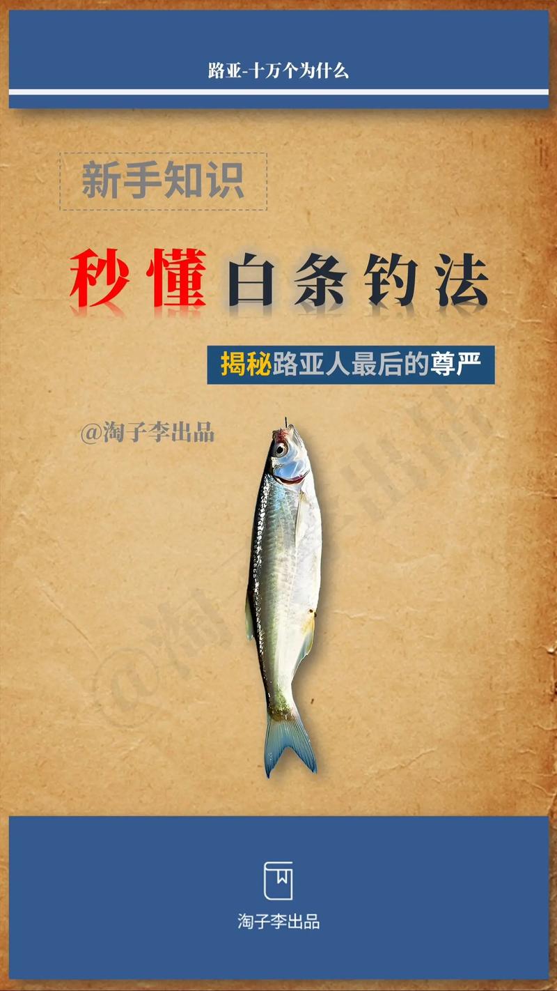 白條釣法心得_白條釣魚技巧_這是銀鯝和白條有一點不同如何作釣?