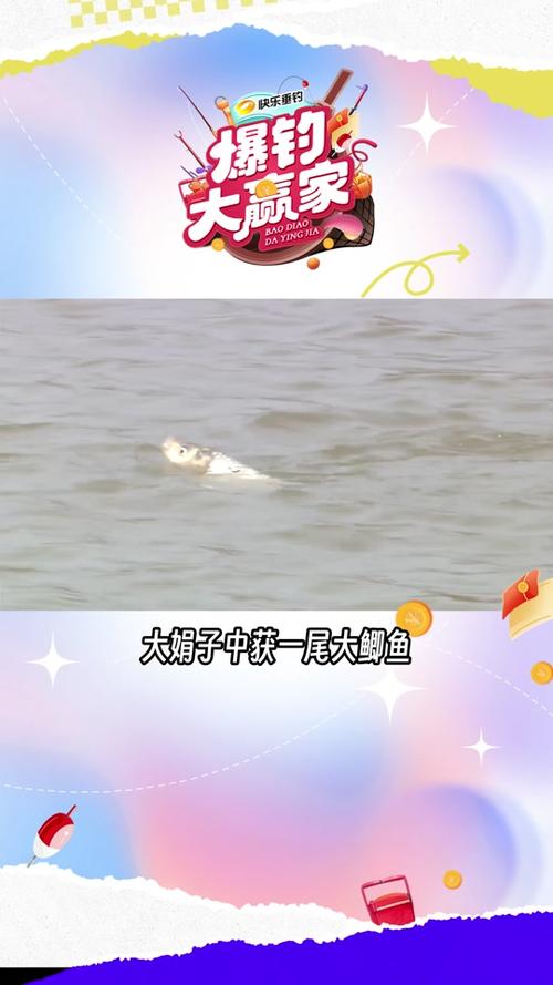 央視釣魚頻道介紹_釣魚節目頻道推薦_延邊衛視釣魚節目