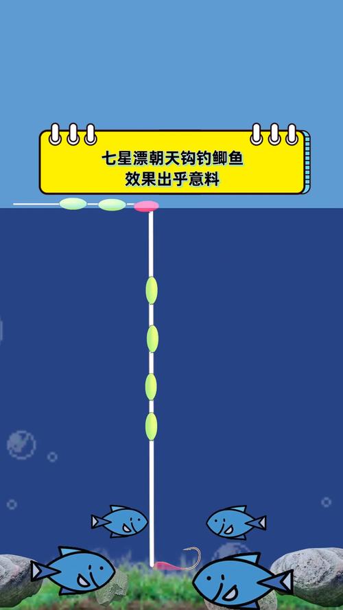 七星漂的釣法以及方法歡迎朋友們的建議