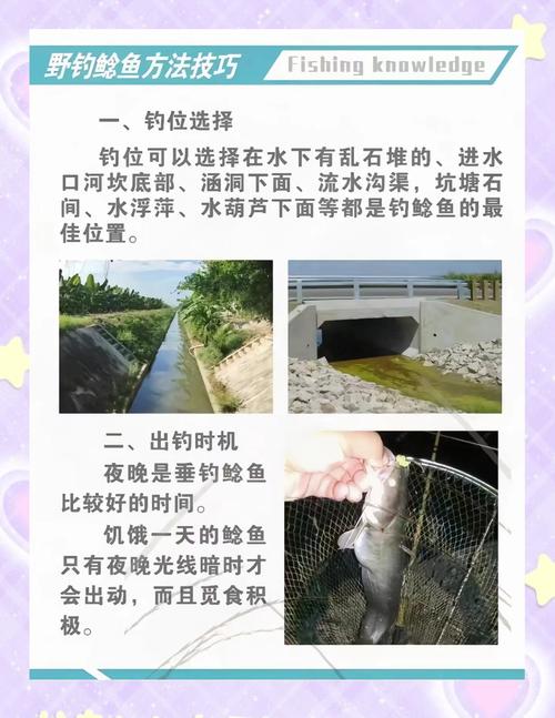 肥水釣魚技巧_肥水釣魚溫度選擇_肥水魚塘釣魚技巧分析必看