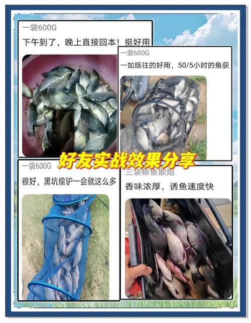 野釣鯽魚餌料搭配_黑坑釣魚技巧_北方黑坑釣餌配方